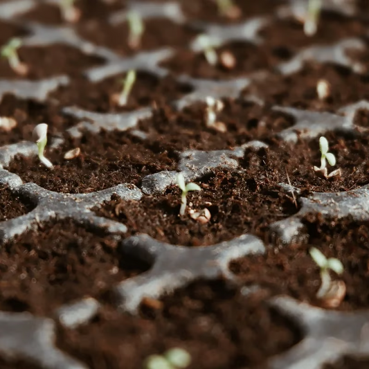 π₯ LAST DAY 49% OFF π± Premium Organic Coconut Coir Bricks For Plants