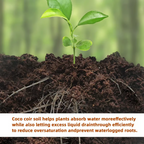 🔥 LAST DAY 49% OFF 🌱 Premium Organic Coconut Coir Bricks For Plants